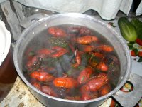03092011316.jpg 03092011316.jpg
