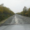 p-419.jpg p-419.jpg