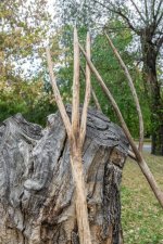 vintage-rustic-wooden-pitchfork-stands-next-to-an-old-stump-rural-lifestyle_317169-706.jpg