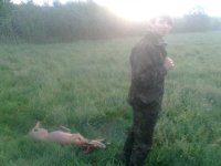 21.05.2011r. zrywka,przy Pludwińskim T..jpg 21.05.2011r. zrywka,przy Pludwińskim T..jpg