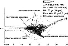 22-Cal.jpg