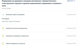 Screenshot 2024-07-03 at 11-21-35 Портал государственных услуг Российской Федерации.jpeg