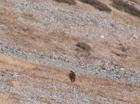 Kazahstāna 2011 007.jpg Kazahstāna 2011 007.jpg