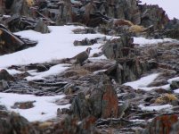 Kazahstāna 2011 046.jpg Kazahstāna 2011 046.jpg