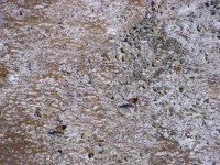 Kazahstāna 2011 099.jpg Kazahstāna 2011 099.jpg