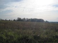 IMG_0371.jpg IMG_0371.jpg
