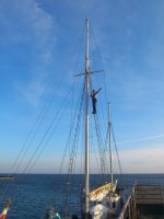 DSC_0152.jpg DSC_0152.jpg