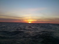 DSC_0171.jpg DSC_0171.jpg