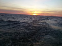 DSC_0174.jpg DSC_0174.jpg