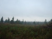 DSC08987.jpg DSC08987.jpg