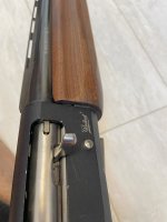 IMG_2281.jpeg