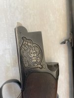 IMG_2316.jpeg