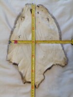 IMG_20250521_165812.jpg