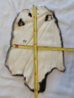 IMG_20250521_170448.jpg