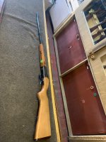 IMG_7979.jpeg