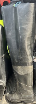 IMG_8751.jpeg