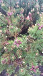 IMG-20250612-WA0002.jpg