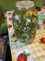 IMG_6139.jpeg