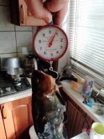 IMG_20250629_163533_590.jpg