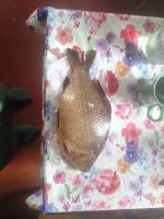 IMG_20250611_102045_678.jpg