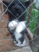 20250715_Уля.jpg