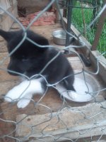 20250715_УЛяя.jpg