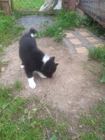 20250715_Уляяя.jpg