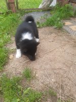 20250715_Уляяяя.jpg