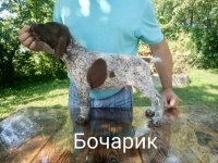 IMG_20250716_134921_458.jpg