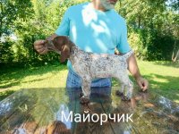 IMG_20250716_134914_271.jpg