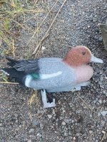 IMG_2075.jpeg