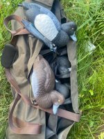 IMG_2076.jpeg