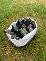 IMG_1238.jpeg