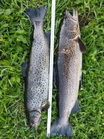 IMG_20220808_053645.jpg
