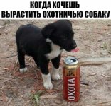 IMG-20250817-WA0000.jpg