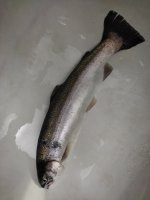 IMG_20240805_030527.jpg