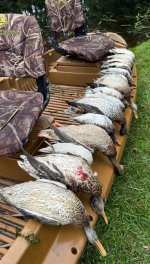 IMG_7105.jpeg