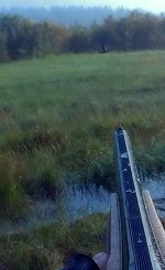 Добыл.MP4_snapshot_00.32_[2025.09.06_14.18.20].jpg