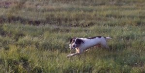 Нашел.MP4_snapshot_00.50_[2025.09.06_14.21.39].jpg
