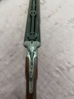 IMG_8309.jpeg