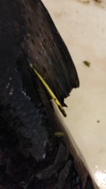 IMG-20250908-WA0004.jpeg
