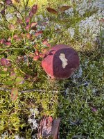 IMG_0360.jpeg