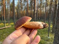 IMG_0389.jpeg