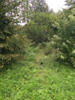 IMG_6367.jpeg