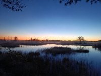 IMG_20250929_061143.jpg