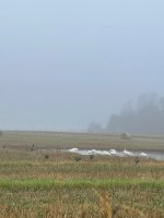 IMG_2054.jpeg