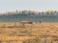 IMG_1047.jpeg