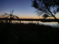 IMG_20251009_061114.jpg