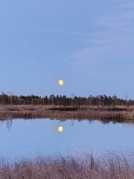 IMG_20251009_182633.jpg