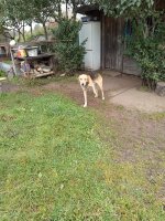 IMG_20251007_100621.jpg
